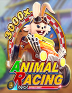 วิธีเล่น premier slot machine สำหรับมือใหม่